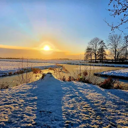 シャレー De Oase *